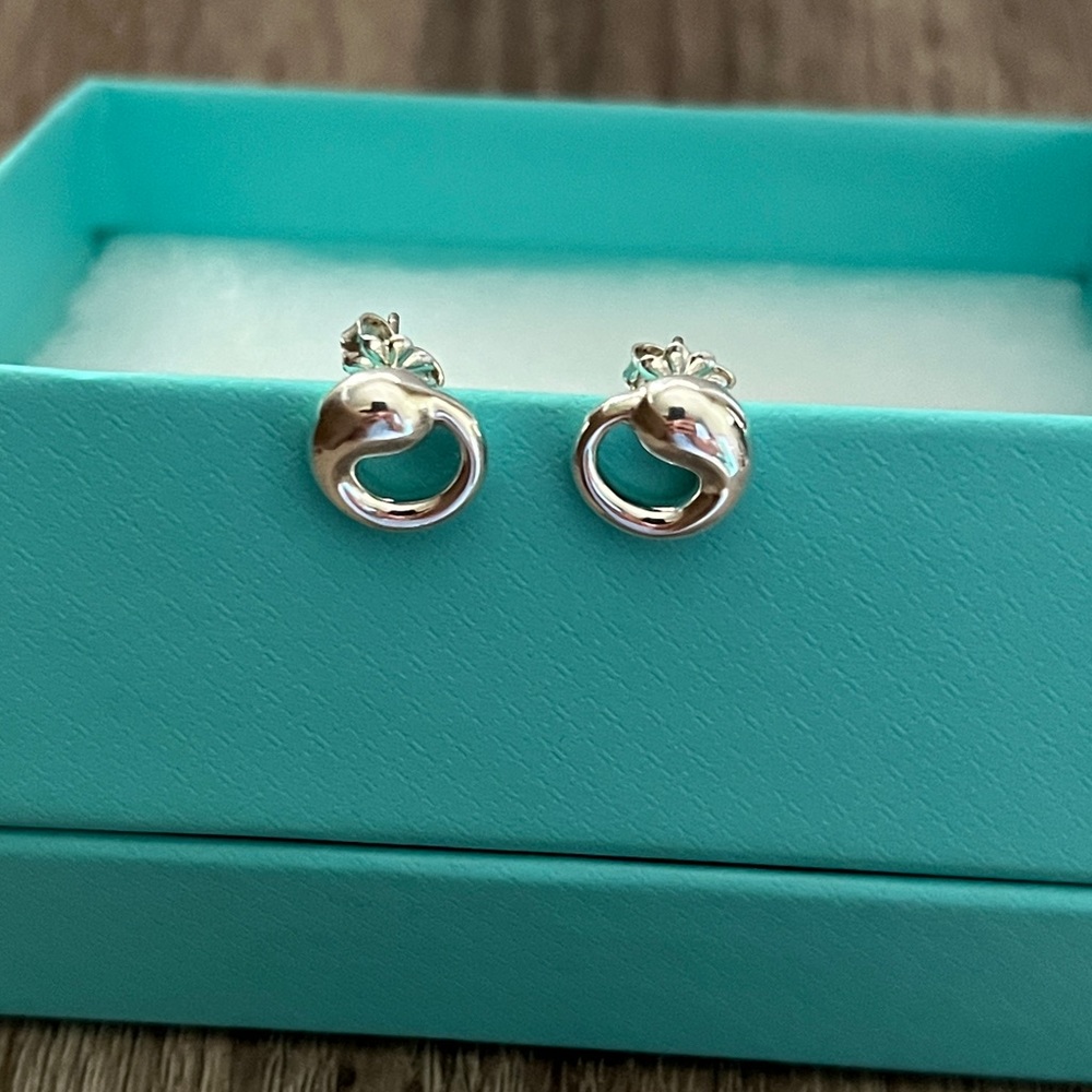 Eternal circle‎ earrings